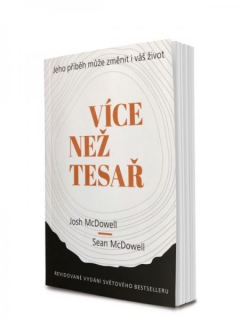 Více než tesař